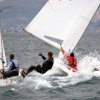 Regate Labud � SOSW � 2007